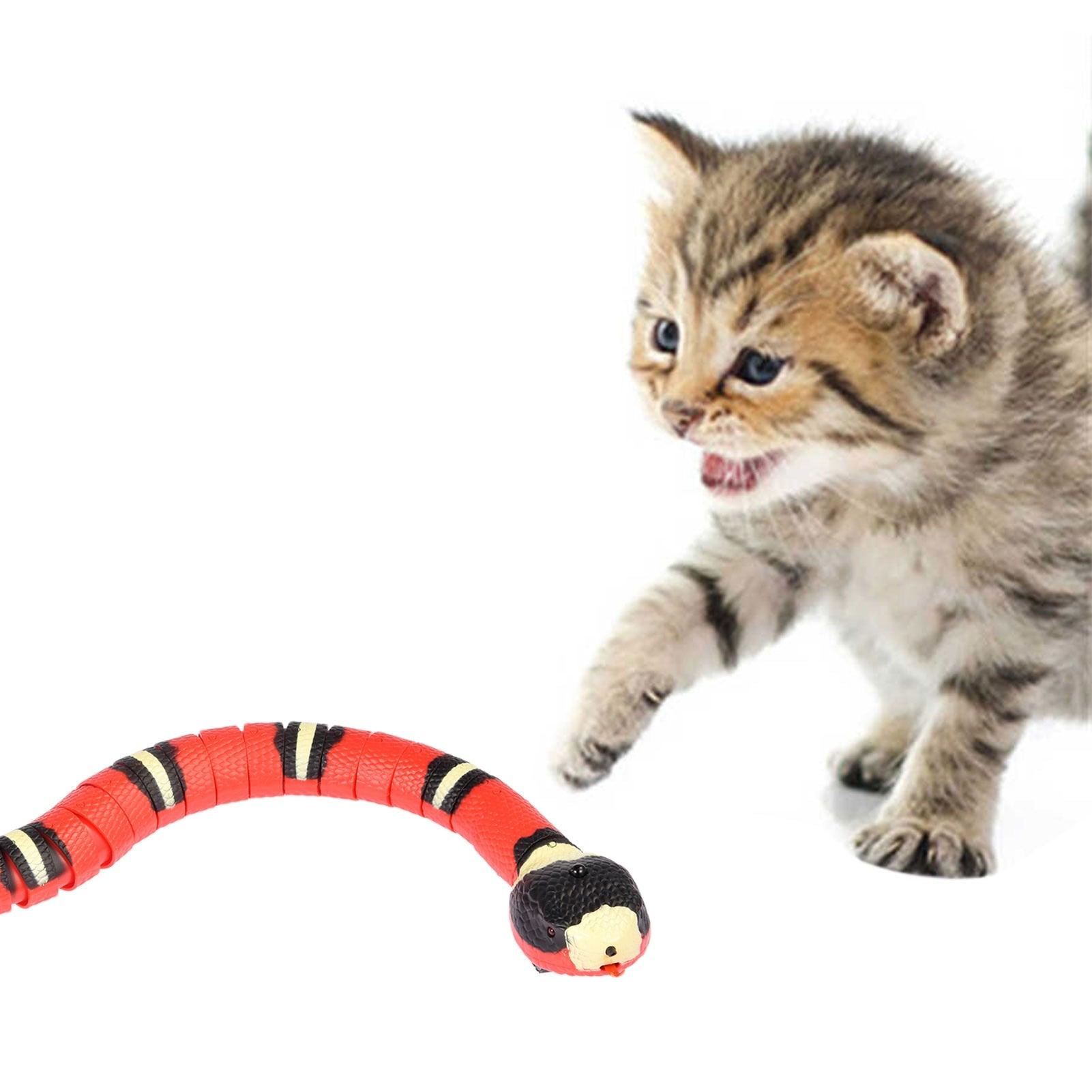 Interactive Snake for Cats - ShoPet Connection