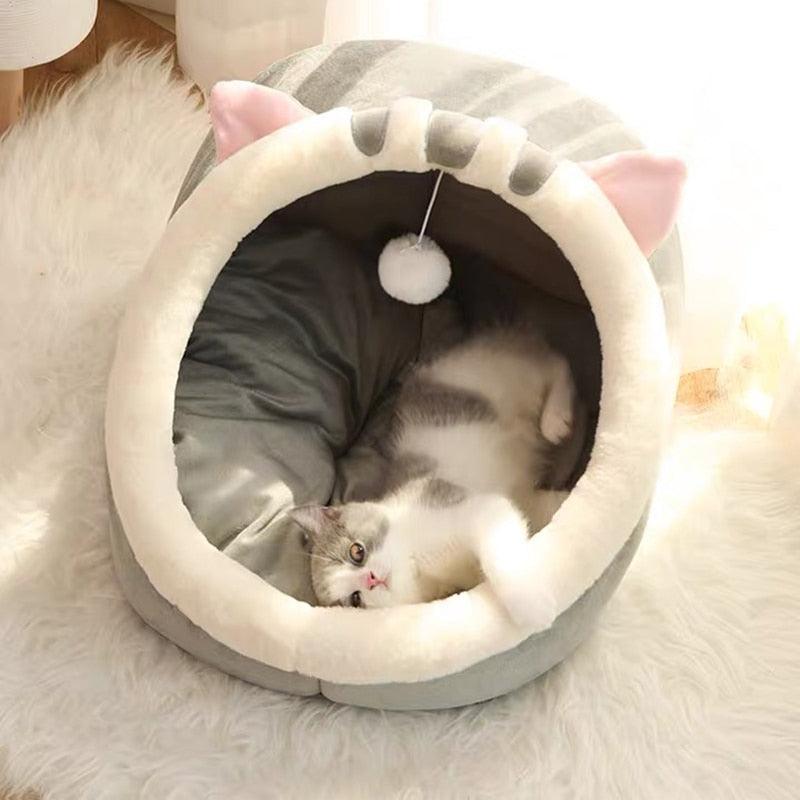 Cat Basket Bed - ShoPet