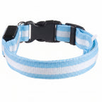 LED Dog Collar - Glow-in-the-Dark Night Safety Light