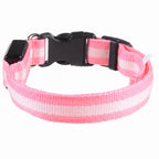LED Dog Collar - Glow-in-the-Dark Night Safety Light