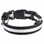 LED Dog Collar - Glow-in-the-Dark Night Safety Light