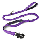 Reflective Shock-Absorbing Bungee Dog Leash