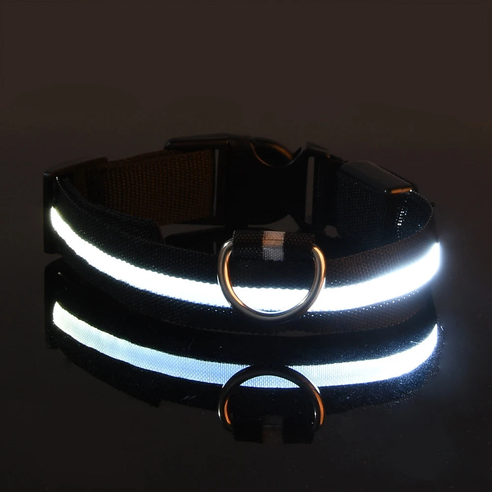 LED Dog Collar - Glow-in-the-Dark Night Safety Light