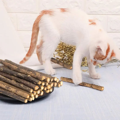 Matatabi Silvervine Cat Chew Sticks - Natural Catnip Alternative (15-Pack)