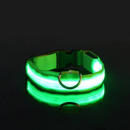 LED Dog Collar - Glow-in-the-Dark Night Safety Light