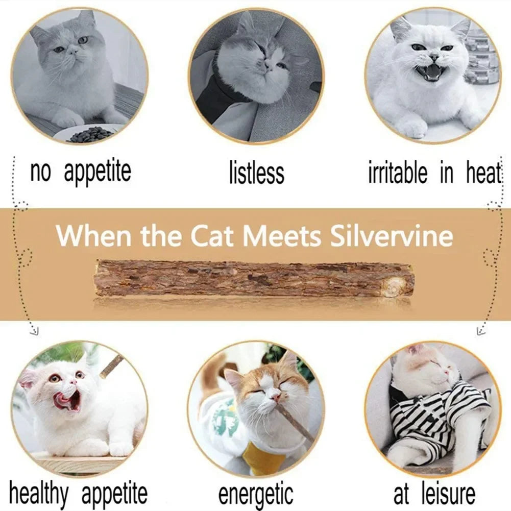 Matatabi Silvervine Cat Chew Sticks - Natural Catnip Alternative (15-Pack)