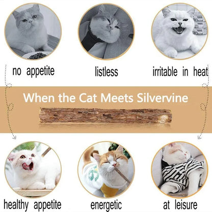 Matatabi Silvervine Cat Chew Sticks - Natural Catnip Alternative (15-Pack)