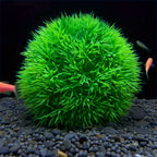 Artificial Aquarium Grass Ball - Fade-Resistant Fish Tank Decor