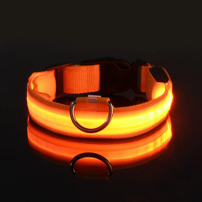 LED Dog Collar - Glow-in-the-Dark Night Safety Light