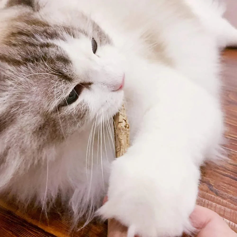 Matatabi Silvervine Cat Chew Sticks - Natural Catnip Alternative (15-Pack)
