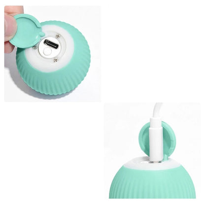 Electric Dog Ball – Interactive Rechargeable Smart Toy for Dogs & Cats