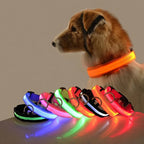 LED Dog Collar - Glow-in-the-Dark Night Safety Light