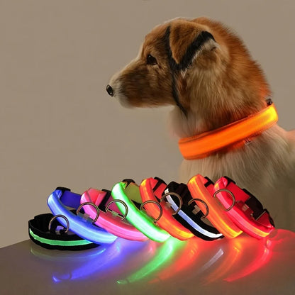 LED Dog Collar - Glow-in-the-Dark Night Safety Light