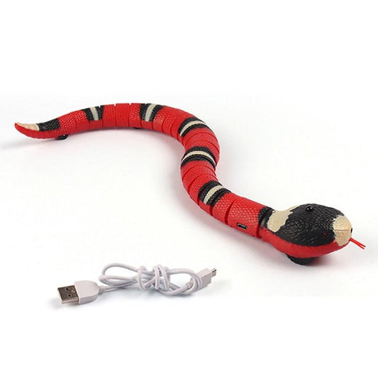 Interactive Snake for Cats - ShoPet