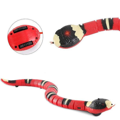 Interactive Snake for Cats - ShoPet Connection