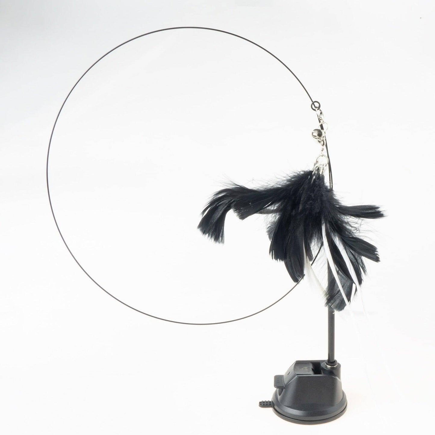 Cat Feather Toy 0 ShoPet Black Feather Set 