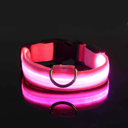 LED Dog Collar - Glow-in-the-Dark Night Safety Light