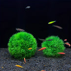 Artificial Aquarium Grass Ball - Fade-Resistant Fish Tank Decor