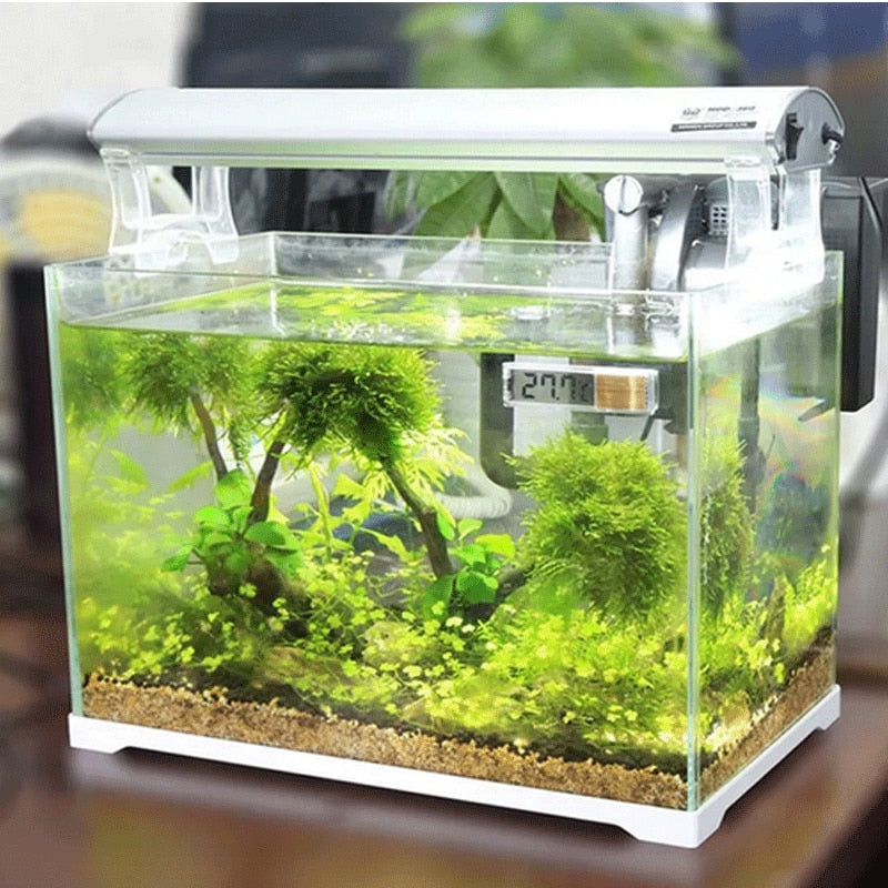 Digital Aquarium Thermometer - LCD Fish Tank Temp Gauge
