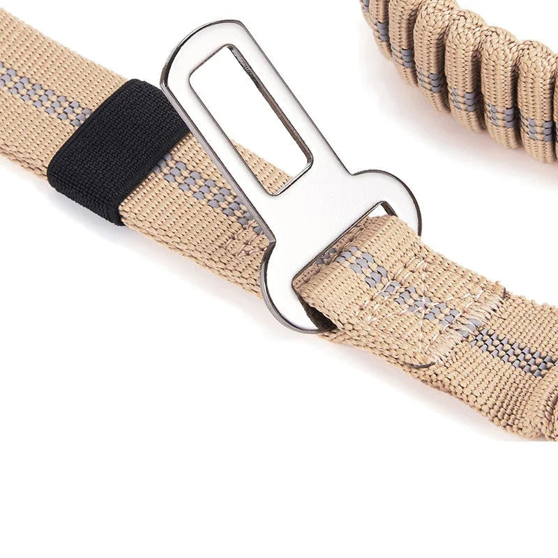 Reflective Shock-Absorbing Bungee Dog Leash