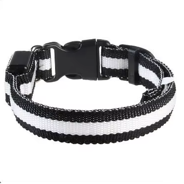 LED Dog Collar - Glow-in-the-Dark Night Safety Light