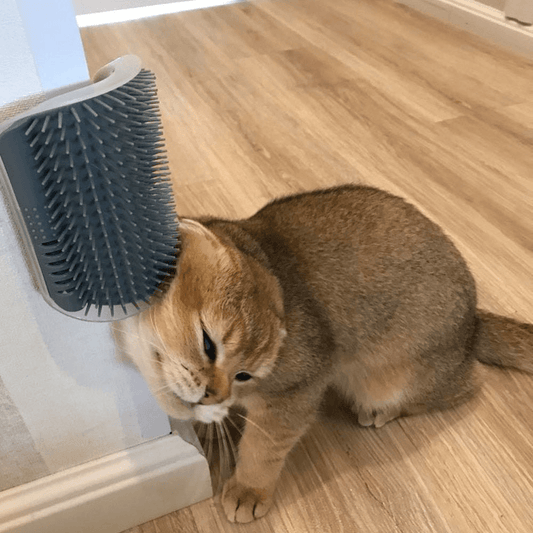 Cat Corner Self Groomer - ShoPet Connection