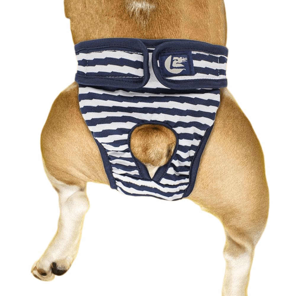 Washable Female Dog Panties For Menstruation